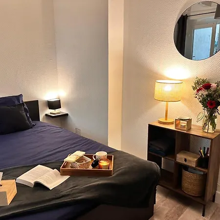 Lägenhet Beau Et Sa Terrasse Quartier Historique