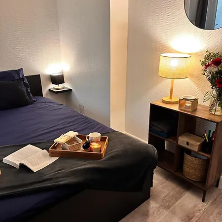 Lägenhet Beau Et Sa Terrasse Quartier Historique Moulins (Allier)